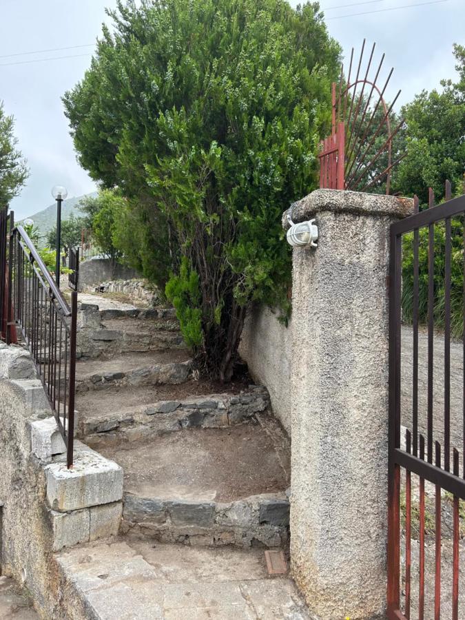Villa Loren Praia a Mare Buitenkant foto